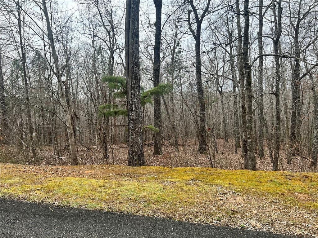 0 Harris Creek Dr, Ellijay, GA 30540 MLS 7221109 Coldwell Banker