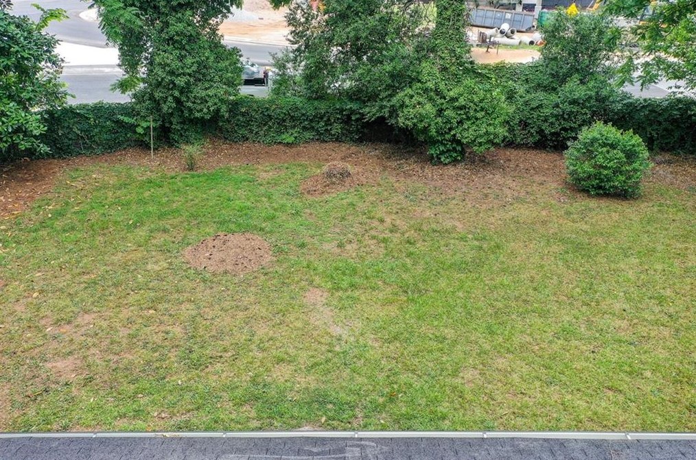 1391 Ruth Pl, Decatur GA  30035-1128 exterior