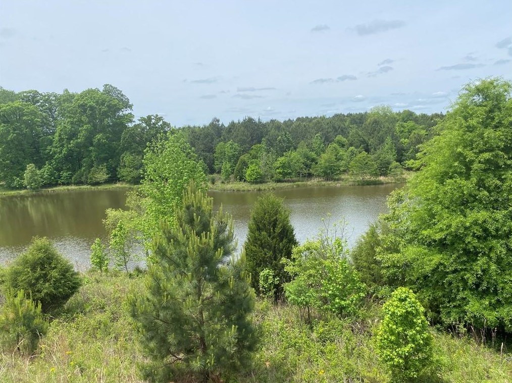 1071 Hawthorne Cir, Madison, GA 30650