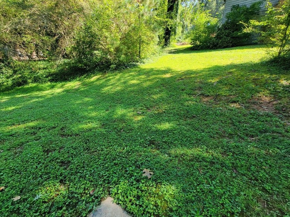 3166 Big Springs Ct, Decatur GA  30034-4922 exterior