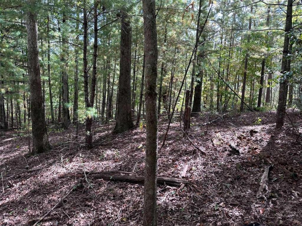 37 Mountain Creek Hollow Dr, Talking Rock, GA 30175 MLS 7286122