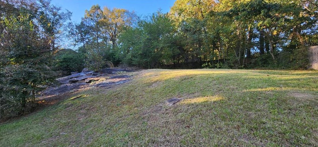 2952 Woody Ct, Decatur GA  30034-6913 exterior