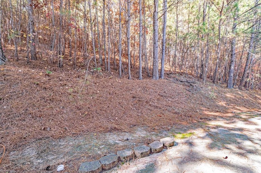 4852 Park Cir, Atlanta GA  30349-2049 exterior