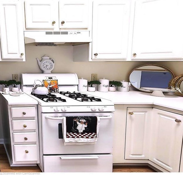 4243 Orchard Grv, Stone Mountain GA  30083-1293 exterior