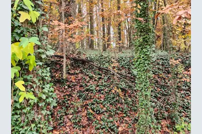 0 Gardenia Drive NW, Atlanta, GA 30314 - Photo 7