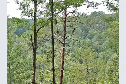 191+/- Acres Off Hwy. 136, Dawsonville, GA 30534 - Photo 73