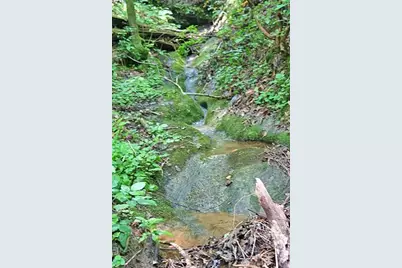 191+/- Acres Off Hwy. 136, Dawsonville, GA 30534 - Photo 37