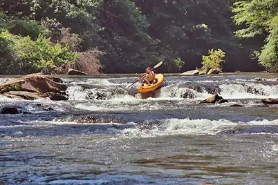 191+/- Acres Off Hwy. 136, Dawsonville, GA 30534 - Photo 75