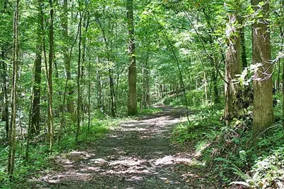 191+/- Acres Off Hwy. 136, Dawsonville, GA 30534 - Photo 23