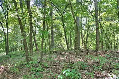 191+/- Acres Off Hwy. 136, Dawsonville, GA 30534 - Photo 61