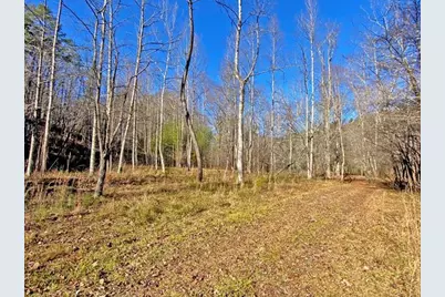 191+/- Acres Off Hwy. 136, Dawsonville, GA 30534 - Photo 81