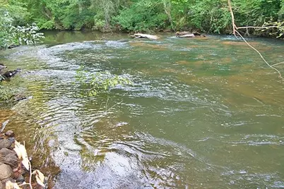 191+/- Acres Off Hwy. 136, Dawsonville, GA 30534 - Photo 71