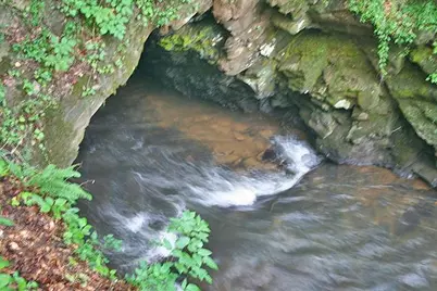 191+/- Acres Off Hwy. 136, Dawsonville, GA 30534 - Photo 51