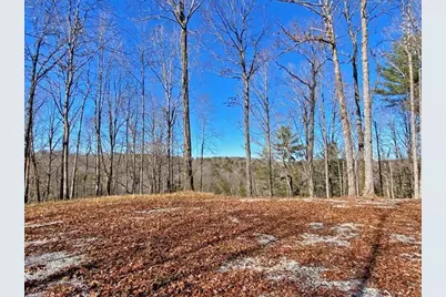 191+/- Acres Off Hwy. 136, Dawsonville, GA 30534 - Photo 65