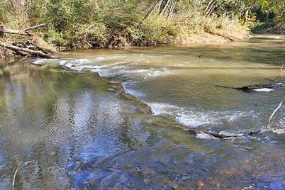 191+/- Acres Off Hwy. 136, Dawsonville, GA 30534 - Photo 3