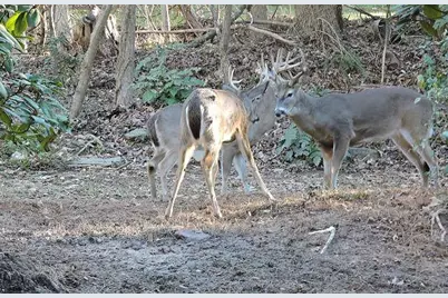 191+/- Acres Off Hwy. 136, Dawsonville, GA 30534 - Photo 77