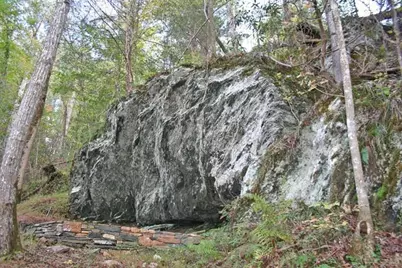 191+/- Acres Off Hwy. 136, Dawsonville, GA 30534 - Photo 9