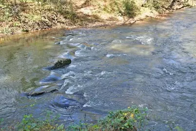 191+/- Acres Off Hwy. 136, Dawsonville, GA 30534 - Photo 7