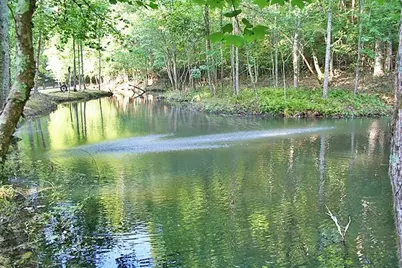 191+/- Acres Off Hwy. 136, Dawsonville, GA 30534 - Photo 21