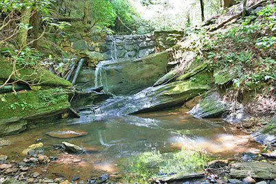 191+/- Acres Off Hwy. 136, Dawsonville, GA 30534 - Photo 33