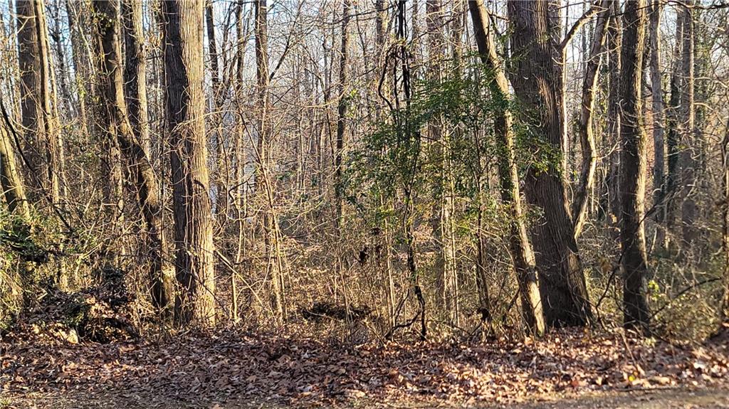 132 Burnt Hickory Dr, Dallas, GA 30132 MLS 7320028 Coldwell Banker