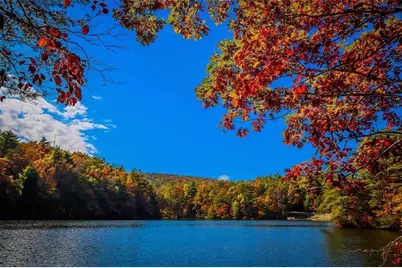 208 Lake Forest Dr Lt. 51, Ellijay, GA 30540 - Photo 15