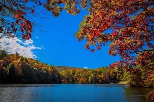 208 Lake Forest Dr Lt 51, Ellijay, GA 30540 - Photo 15