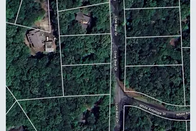 114 Lone Bear Drive, Waleska, GA 30183 - Photo 7