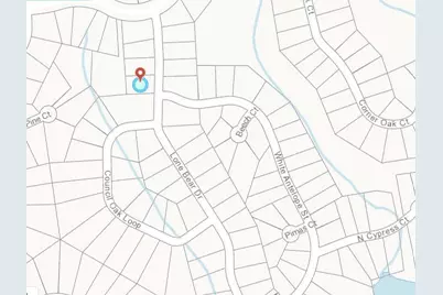 114 Lone Bear Drive, Waleska, GA 30183 - Photo 9