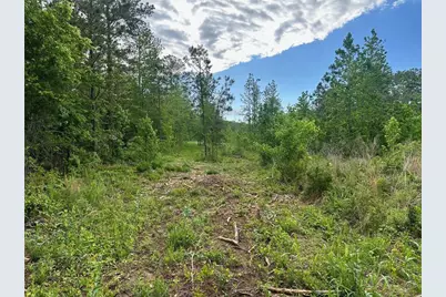 00 Satcher Road, Taylorsville, GA 30178 - Photo 1
