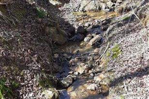 11953 Henderson Mountain Rd, Fairmount, GA 30139 - Photo 21