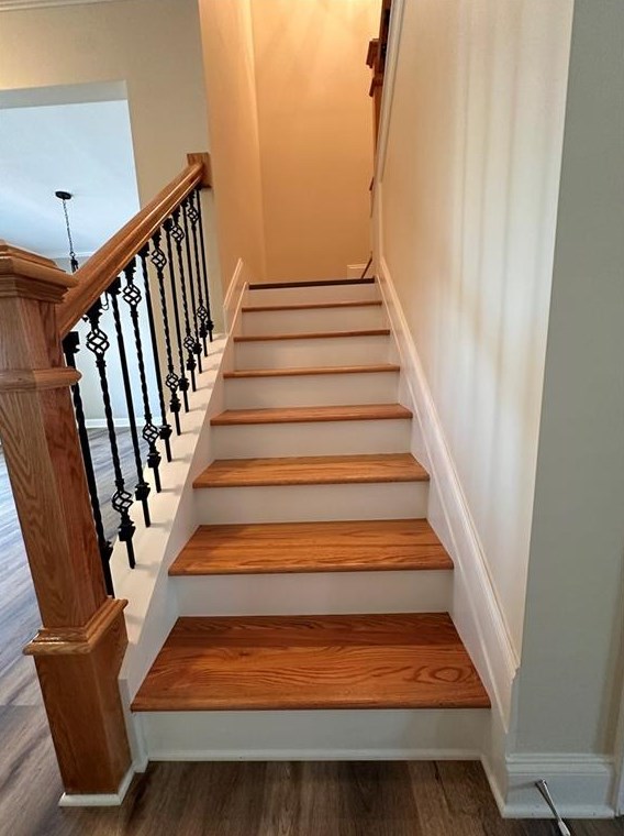 3647 Mitchell Lk Dr, Gainesville GA 30506-1211 exterior