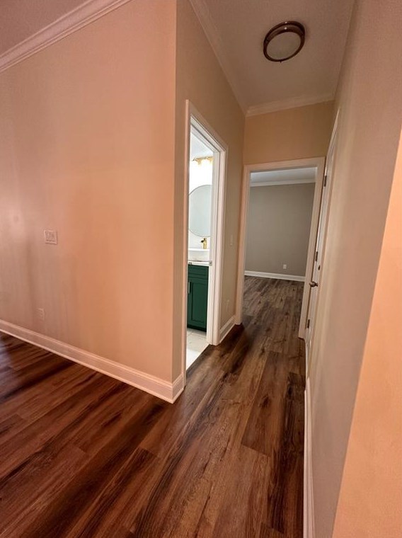 3647 Mitchell Lk Dr, Gainesville GA 30506-1211 exterior