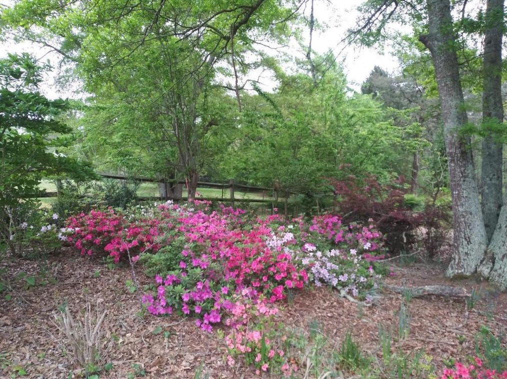 1310 Grapevine Trl, Monroe GA  30656-4513 exterior