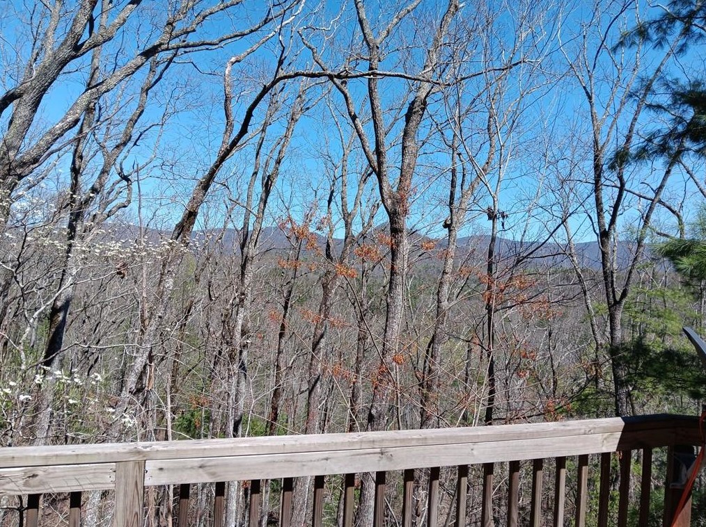 445 Ward Ridge Rd, Big Canoe GA  30143-6626 exterior