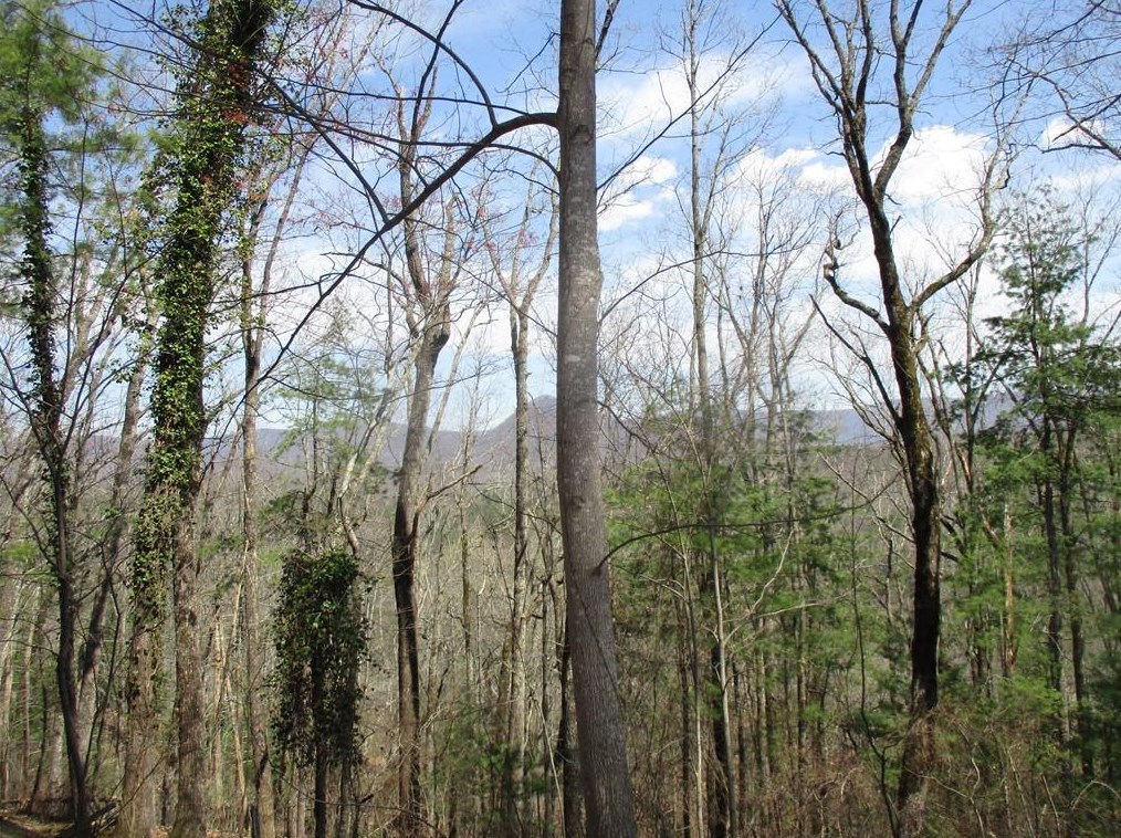 445 Ward Ridge Rd, Big Canoe GA  30143-6626 exterior