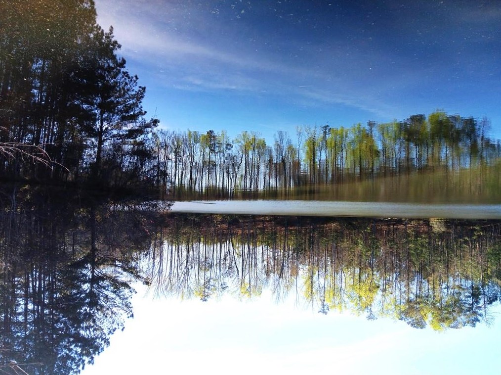 12793 Doe Dr, Alpharetta GA 30004-8987 exterior