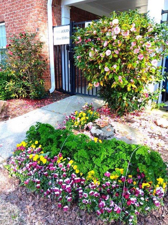 12793 Doe Dr, Alpharetta GA 30004-8987 exterior