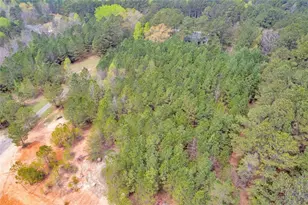 0 Lakeway Dr, Martin, GA 30557 - Photo 17