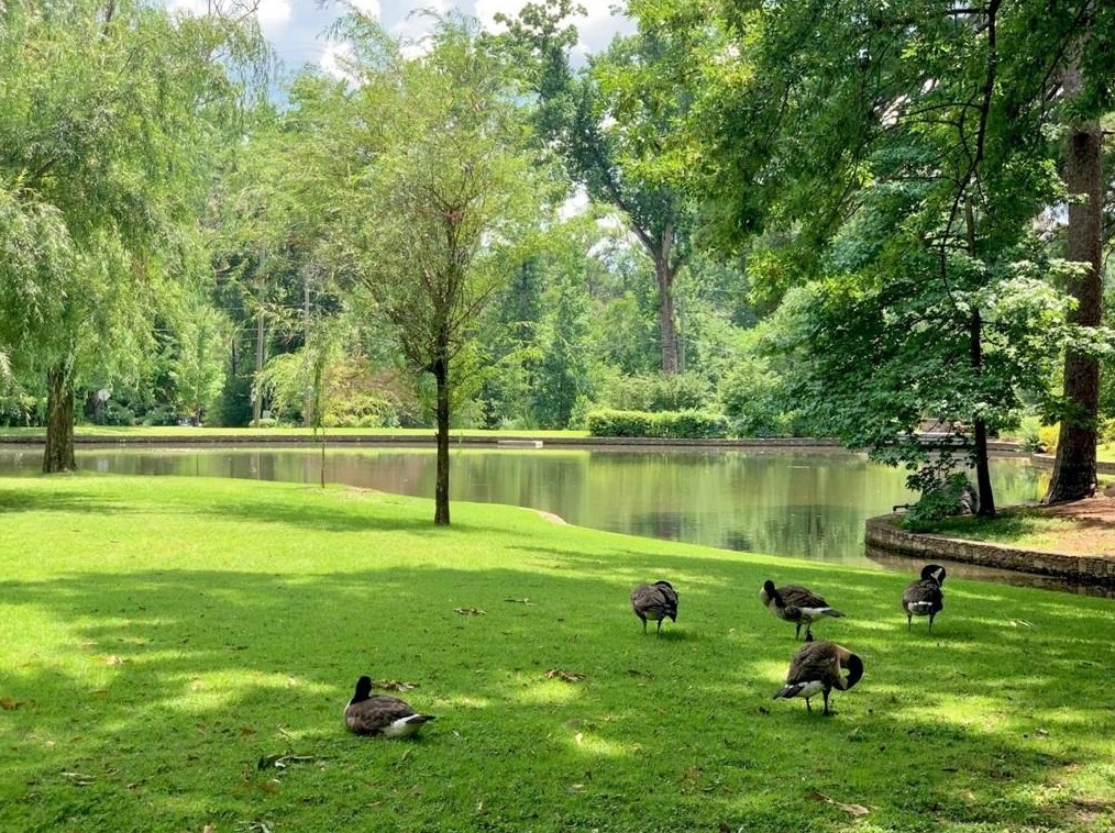 106 Sheridan Dr, Atlanta GA  30305-3136 exterior