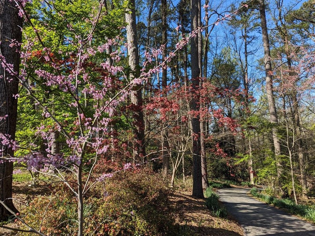 12 Rockland Pl, Decatur GA  30030-1335 exterior