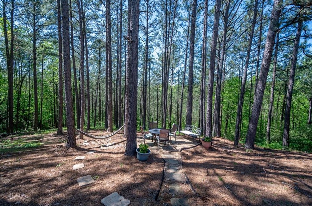 1423 Hornell Ln, Smyrna GA  30082-4877 exterior