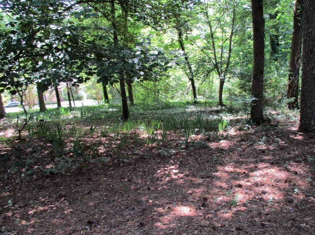 140 Sunrise Ter, Calhoun GA 30701-4638 exterior