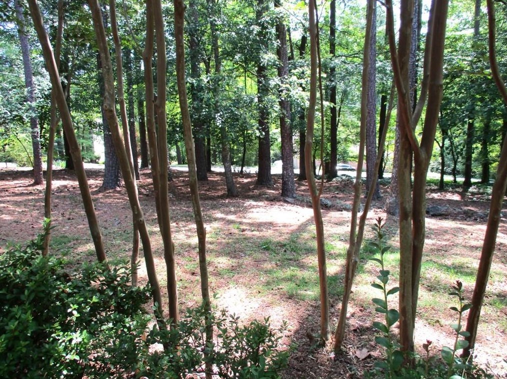 140 Sunrise Ter, Calhoun GA 30701-4638 exterior