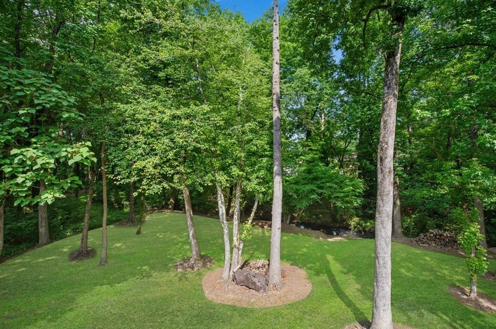 2450 Fontainebleau Dr, Atlanta GA  30360-1227 exterior