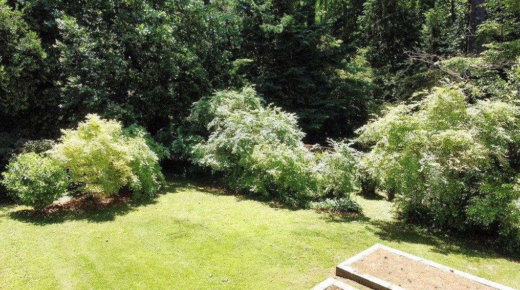 2325 Shasta Way, Atlanta GA  30345-2605 exterior