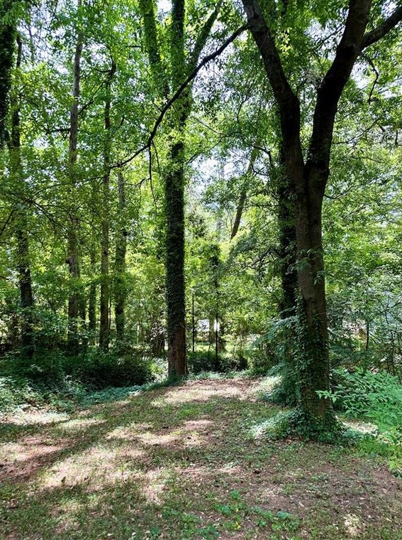 2258 Bryant Dr, Atlanta GA  30344-1034 exterior