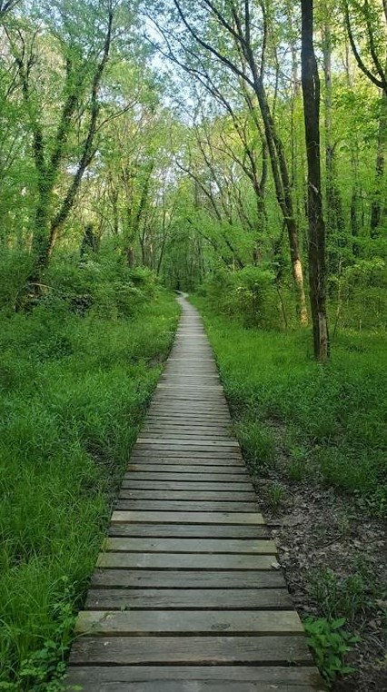 2343 Sanford Rd, Decatur GA  30033-5511 exterior