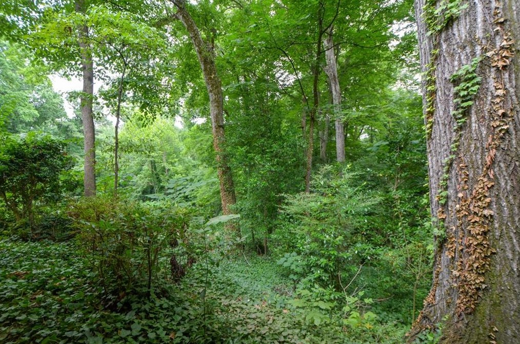 2437 Circlewood Rd, Atlanta GA  30345-1949 exterior