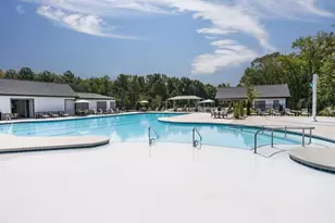 133 Pyramid Ln, Hoschton, GA 30548 - Photo 13